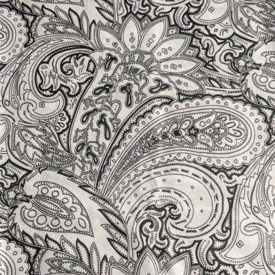 paisley1
